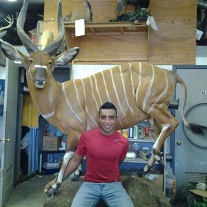 Meet your Posher, Thuran